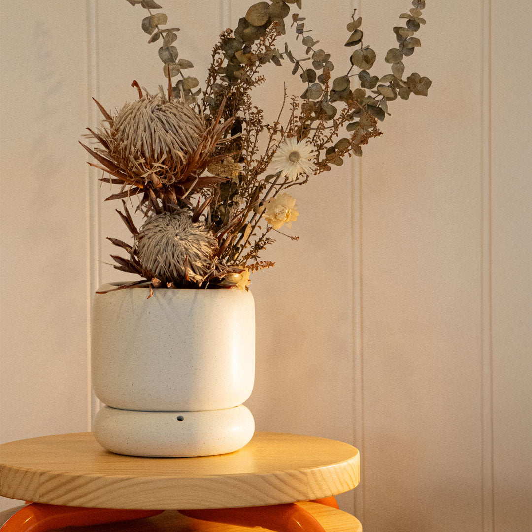 LODE Pot Cream