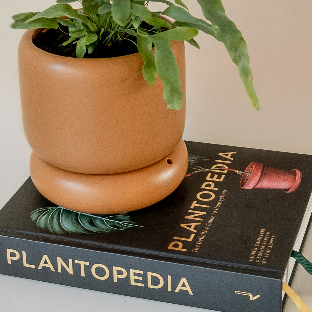LODE Pot Terracotta