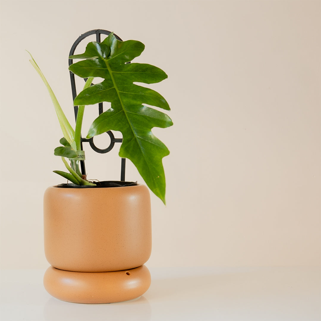 LODE Pot Terracotta