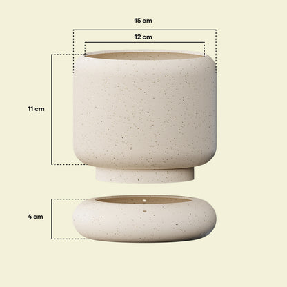 LODE Pot Cream
